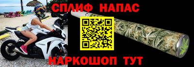молекула духа Нальчик