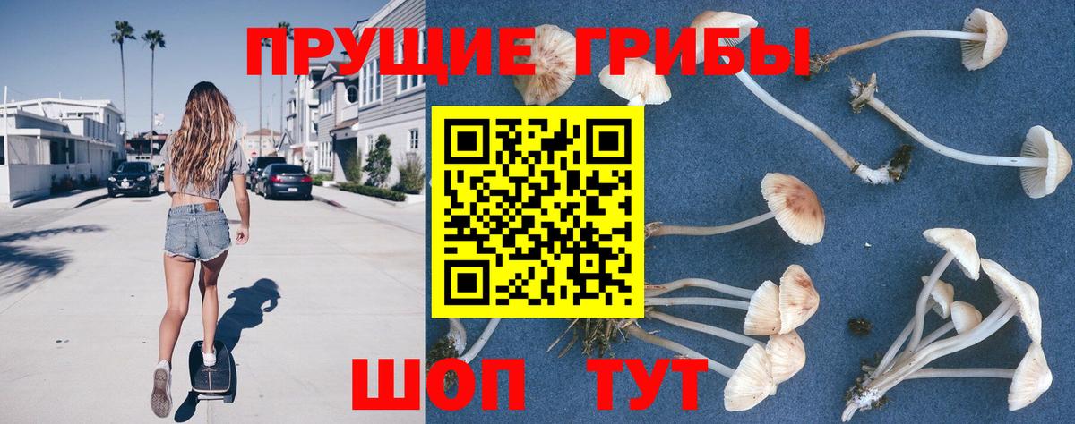 Псилоцибиновые грибы мицелий Учалы